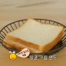 어니언 이미지