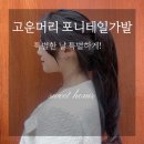고운머리 | 고운머리 포니테일가발로 특별한 날에 포인트 주기!