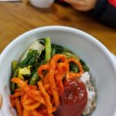 n년차 단골! 행신역 맛집 풍물옹심이메밀칼국수 행신점