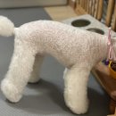 김채안퍼피살롱 이미지