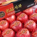 거성2호 이미지