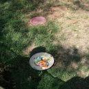 오리농장 이미지