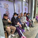 관음노인대학 이미지