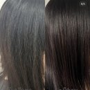스위비(SWEEB)헤어 | 서울대입구역 스위비헤어 원장 슬빈 신데렐라 크리닉