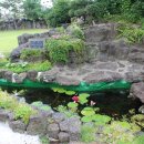 김녕초등학교 동복분교 이미지