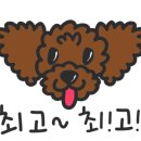 (주)제트에프삭스코리아