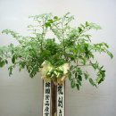 (주)신화에프에스