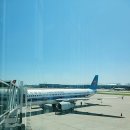 디디인터내셔널 이미지