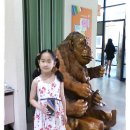 햇살마루작은도서관 이미지