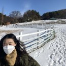 동관목장 이미지