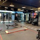 FIT U.S.A(피투사) 이미지