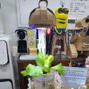 하나과학(주) | 새롬동 과학학원 어디가 좋을까? 아만소 창의과학학원 체험수업 솔직후기