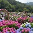 6월21일 (일) 울산으로 갑니다 이미지
