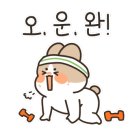 쌍용헬스 이미지