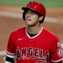 Angels 2020 Review 이미지