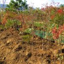 상부농장 이미지