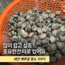 가경주어촌체험휴양마을 | 초보 갯벌체험 어디 가야 할까, 태안 해루질 명소 TOP3