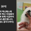 원쿡아카데미 이미지