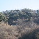 봉산면006 Daum카페