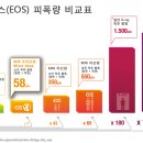 이오스 카카오 검색결과