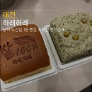 대전탄방중학교 | 대전 빵집 하레하레 풍자 또간집 1등 맛집 쌀카스테라 후기 둔산동 빵지순례