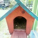 동막골펜션 이미지