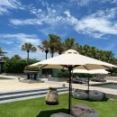 매일관광주식회사 | 베트남 다낭 가족여행 준비물 필수템! 여행용 샤워기 필터와 멀티 어댑터 및 이심 추천!