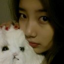 예쁘자나