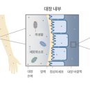 엠디케어