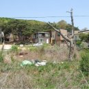 세븐일레븐 김포월곶점 이미지