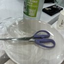 순대마을 | 속초오징어순대 아바이마을고원 방문 후기 홍게라면오징어순대 성게알미역국 아바이순대국