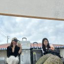 다두하우스 이미지
