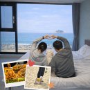 청호공원2 | 속초 애견동반 숙소 추천, 오션뷰펜션 에이플레이스 2박3일 후기 _ 티작가야