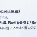 카페와이 이미지