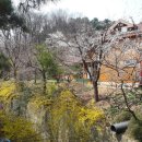 병아리펜션 이미지