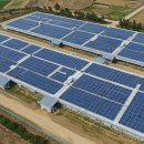 태양종계장 이미지