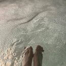 무봉리순대동문점 | 0819 mon ~ 0825 sun