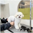 아지묭실 이미지