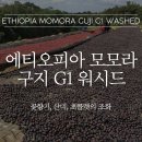 알트로