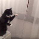 달리삭스 이미지