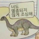 한동당약국 | 생일날에 응급실을 갔던 이유와 후기