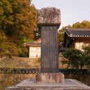 영규농장 이미지