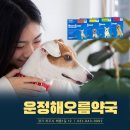 운정해오름약국 이미지