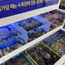 청주조개구이무한리필 이미지