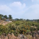 성산파라다이스힐 이미지