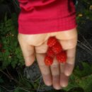 심봤다민박 이미지