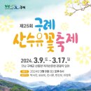 광양매화축제, 구례산수유축제 2024.2.28 개화상황 - 금년부터 입장료 5천원 징수 바뀐 내용 이미지