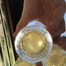 닌자고쿠시 | 우울은 수용성이니 땀을 흘리자, 그게 안되면 알코올로 녹여버리자