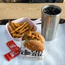 앱케터 | [맘스터치]김풍 싸이버거 내돈내산 솔직 후기(+ 맛 요약, 추천하는 사람들까지)