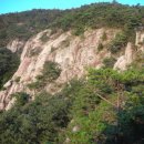 쌍    암 이미지